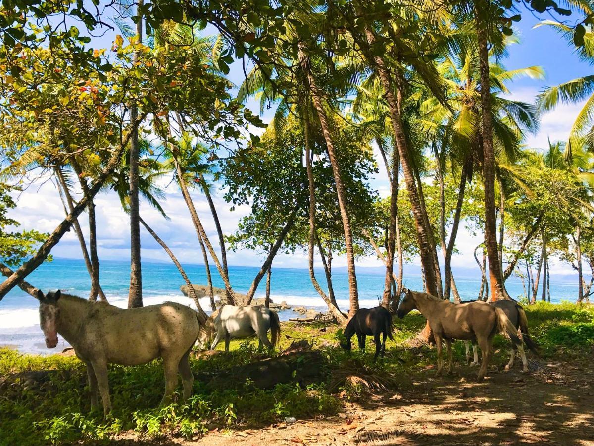 Brahman Bungalows On Pavones Point Buitenkant foto