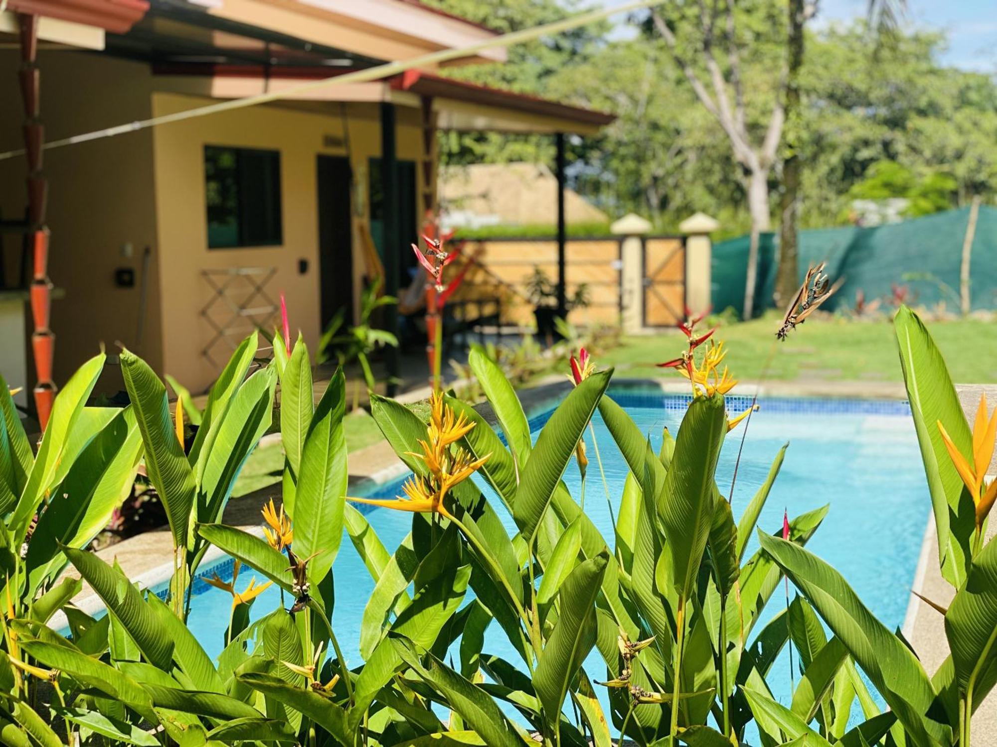 Brahman Bungalows On Pavones Point Kamer foto